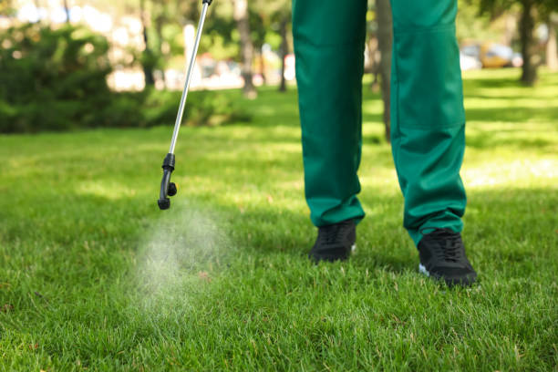 Best Cockroach Control Services  in Amboy, WA